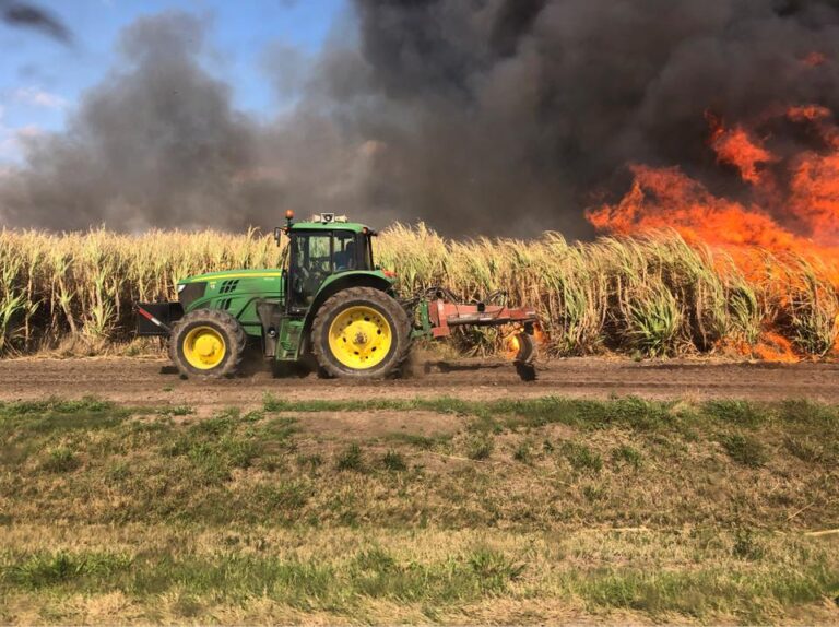 Prescribed Burns – The Truth About Controlled Sugarcane Field Fires