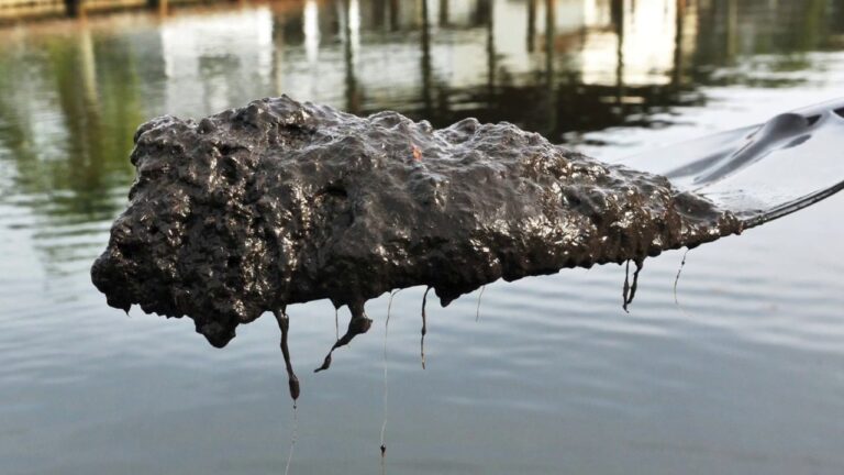 $2 BILLION PORT OF MIAMI DREDGE – WHAT ABOUT THE MUCK?