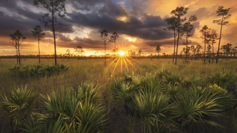 Florida’s Battle Over Environmental Budget